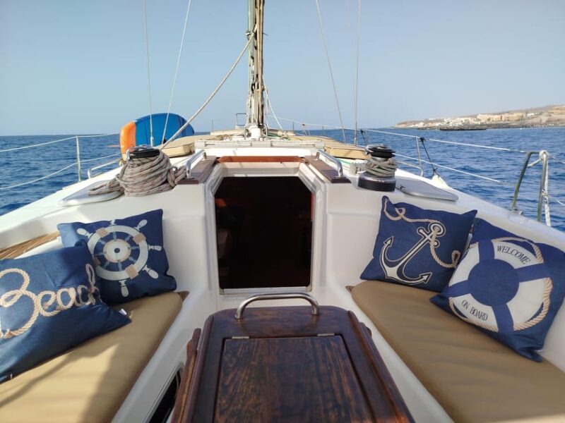 Luxury Dolphin Boat Excursions From Puerto Colon, Tenerife - Encounter Dolphins and Whales