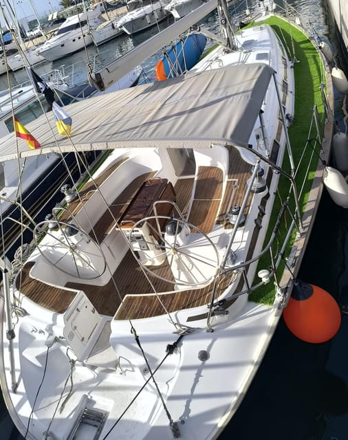 Luxury Dolphin Boat Excursions From Puerto Colon, Tenerife - Breathtaking Sights Along Tenerifes Coastline