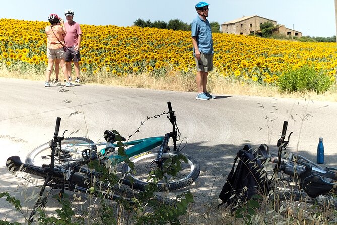 Luxury Eno and Oil Experience, by E-Bike and More... - Tasting of Olive Oils and Bruschetta