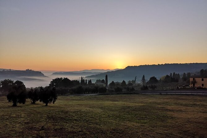 Luxury Eno and Oil Experience, by E-Bike and More... - Archaeological and Panoramic Stops