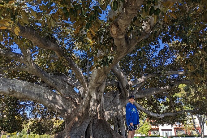 Luxury EV SUV Tour of Los Angeles With Hotel Pickup - Pricing Details