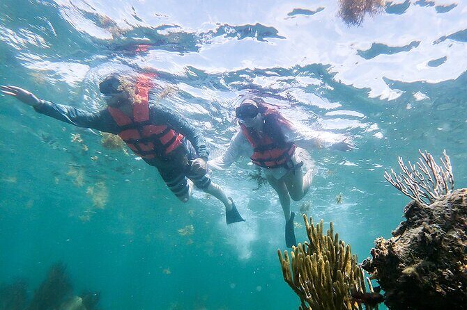 Luxury Experience in a Catamaran Platinum Sailing to Isla Mujeres - Final Wrap-up