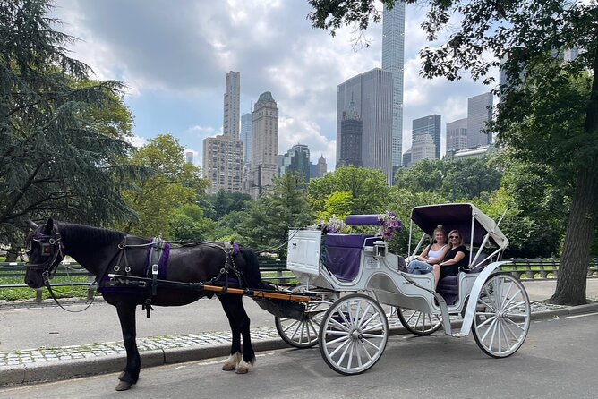 Luxury Horse and Carriage Tours in Central Park - Inclusions