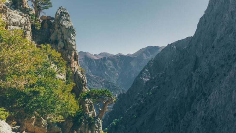 Luxury Jeep Safaris: White Mountains & Samaria Sightseeing - Booking Your Safari