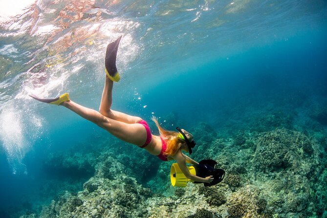 Luxury Kona Coast Snorkel Tour Including Lunch - Highlights of the Tour