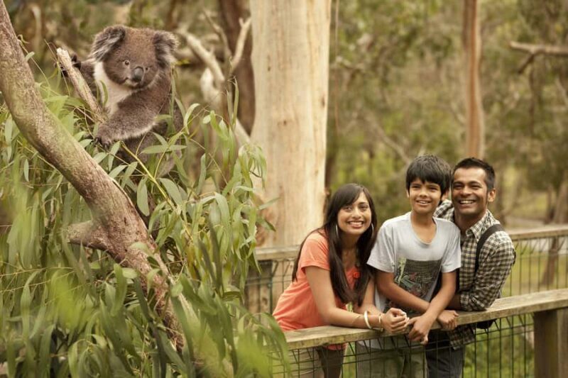 Luxury Phillip Island Tour for Families & Explorers 10 Max - FAQs