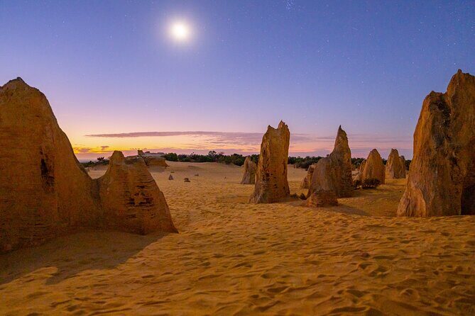Luxury Pinnacles Tour- Private Chauffeur-Tailored Schedule - The Pinnacles Desert