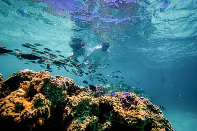 LUXURY PRIVATE Catamaran Bora Bora : Full-Day Trip - The Sum Up: Is It Worth It?