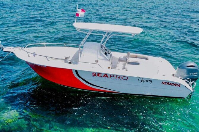 Luxury Private Family Sailing Tour in Punta Cana - Key Points