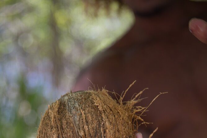 Luxury Private full day tour & Motu lunch in Bora-Bora - FAQ