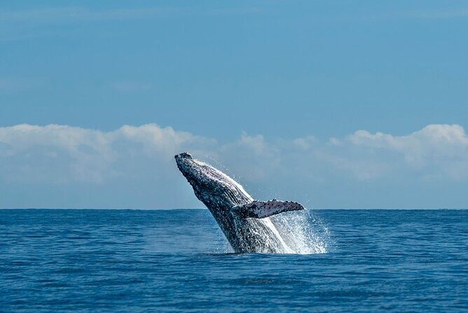 Luxury Private Sunset Experience in San Jose - The Sum Up