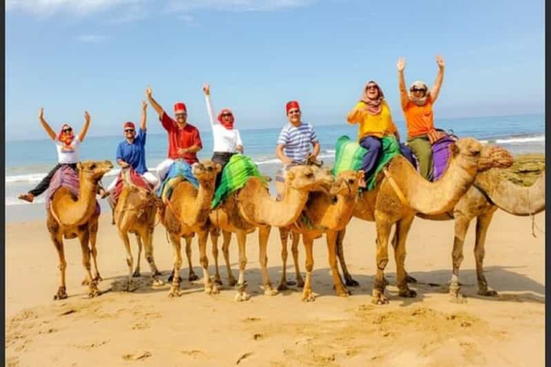 Luxury Private Tangier Tour From Malaga All Inclusive - Activities and Experiences