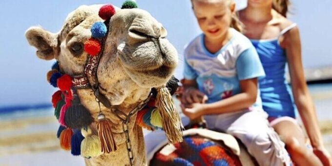 Luxury Private Tangier Tour From Malaga All Inclusive - Exploring Rmilat Park