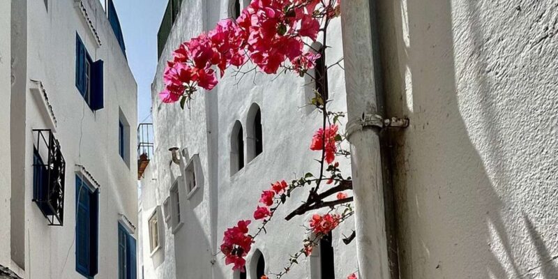 Luxury Private Tangier Tour From Marbella All Inclusive - Itinerary and Activities