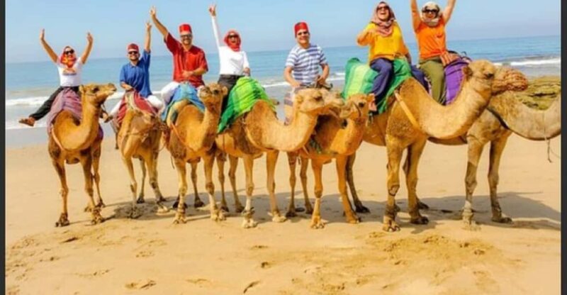 Luxury Private Tangier Tour From Marbella All Inclusive - Inclusions