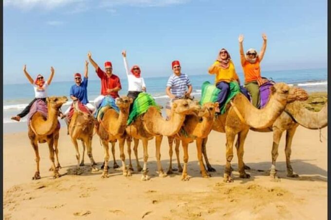 Luxury Private Tangier Tour From Marbella All Inclusive - Visiting Rmilat Park and Surrounding Attractions