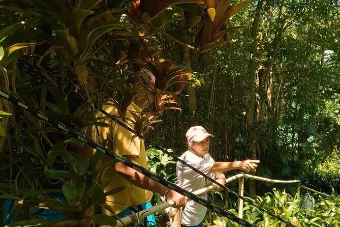 Luxury Private Tour in ST.Thomas(6per group) - FAQ