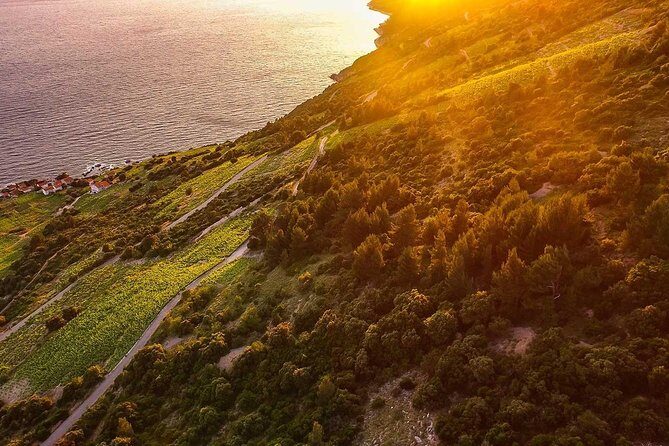 Luxury private transfer Split - Dubrovnik with lunch in Ston - The Sum Up