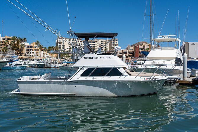 Luxury Private Yacht Charter in Cabo San Lucas Mexico - Final Thoughts: Is This Tour Worth It?