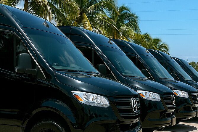 Luxury Roundtrip Transfer to Sawgrass Mall from Miami Hotel - Why Choose This Transfer Service?