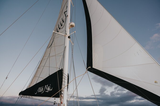 Luxury Royal Catamaran Sunset Dinner Cruise in Maui - Good To Know