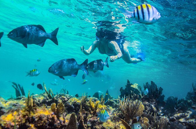 Luxury Sailing and Snorkeling Tour in Riviera Maya - Authenticity and Customer Feedback