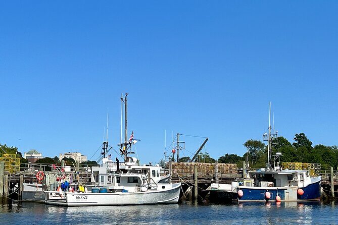 Luxury Semi-Private 4 Guest Seaside & Coastal eBike Tour |3-3.5Hr - Authentic Experiences and Authentic Value