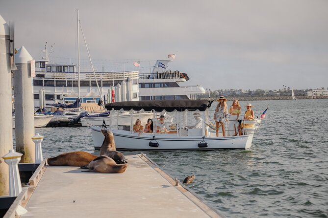 Luxury Shared E-Boat Cruise With Wine, Charcuterie & Sea Lions Spotting - Tour Experience Highlights