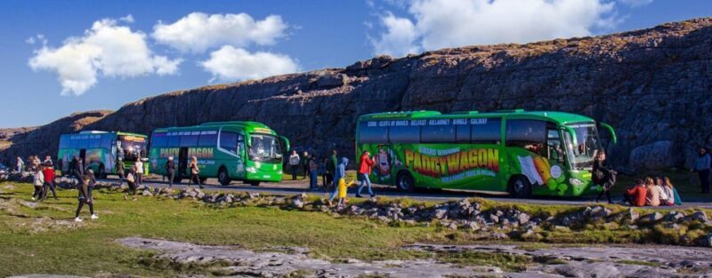 Luxury Shore Excursion From Waterford (Dunmore East) - Key Points