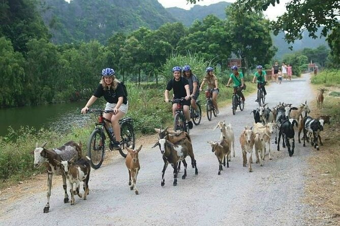 Luxury Small Group, Hoa Lu, Tam Coc, Mua Cave Maximum 6-8 Participants per Group - Luxury Small Group Tour