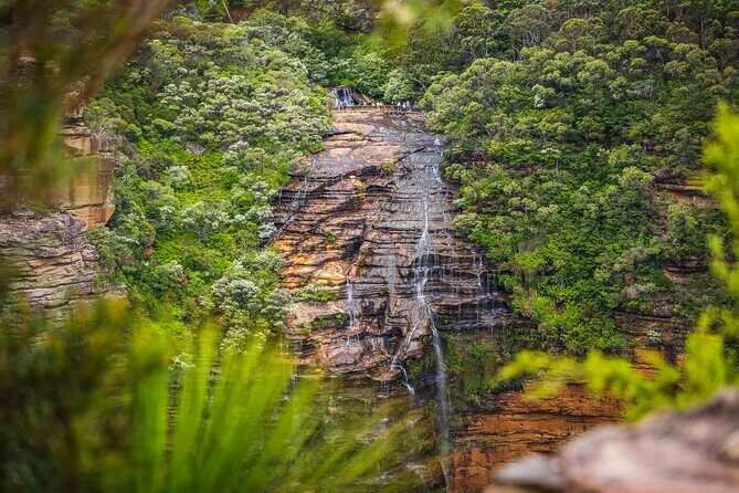 Luxury Small Group of 5 Blue Mountains Escape Tour - A Deep Dive into the Blue Mountains Escape Tour