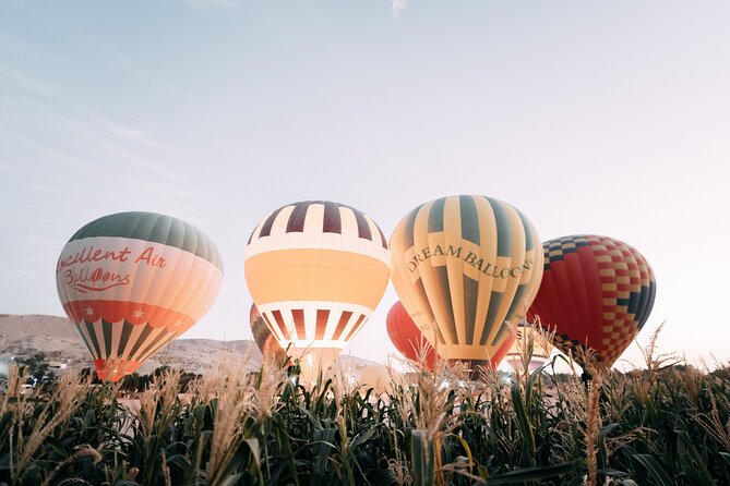 LUXURY Sunrise Ballon Ride in Luxor With Hotels Pickup - Convenient Hotel Pickup and Drop-off