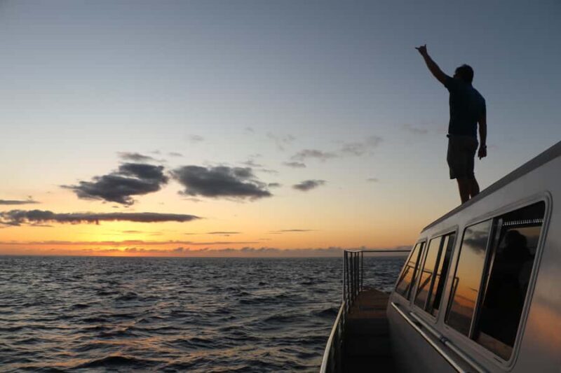 Luxury Sunset Cruise, Snorkeling, Whale & Dolphin Watching - What Makes This Cruise Stand Out