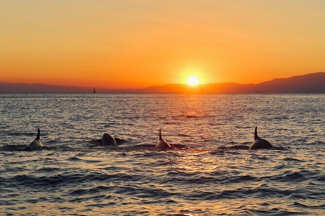 Luxury Sunset Cruise with Aperitif - Final Thoughts