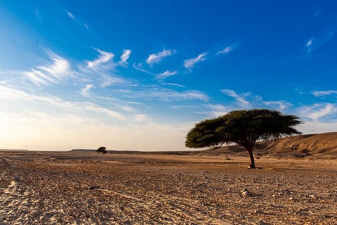 Luxury Sunset Safari to the Oasis & Starlit Dinner From Hurghada - Inclusions and Benefits