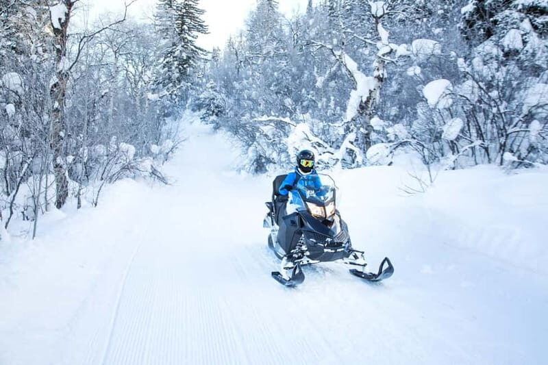 Luxury Tour Andorra with snow driving course from Barcelona - Who Should Consider This Tour?