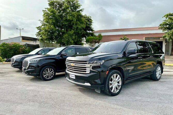 Luxury Transfer between Punta Cana Airport and Uvero alto Hotels - Cancellation Policy and Flexibility