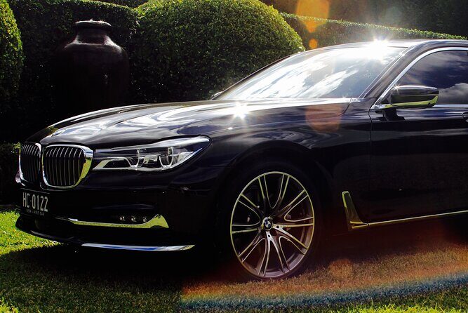 Luxury Van - Sydney Airport Private Departure Transfer - Analyzing the Value: Is It Worth the Price?