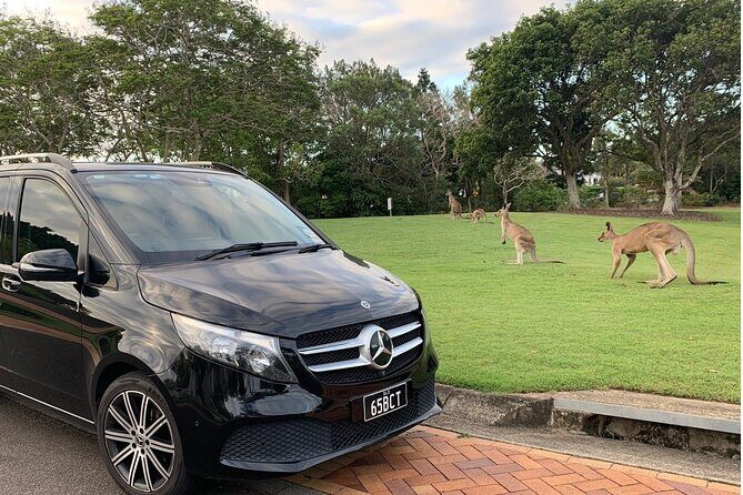 Luxury Vehicle Brisbane Airport to Brisbane Hotel Transfer - Who Is This Transfer Best For?