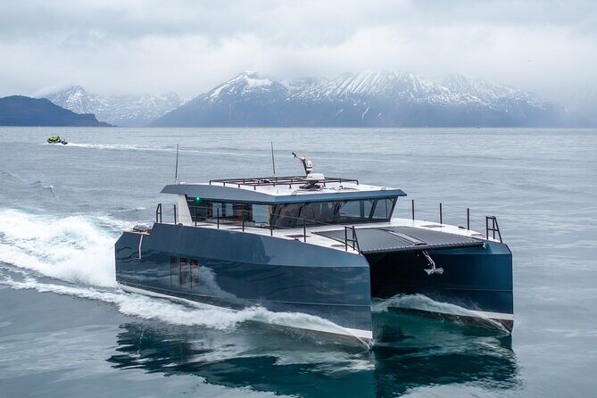 Luxury Whale Watching From Tromso - Small group and local guide - The Experience: Why It Stands Out