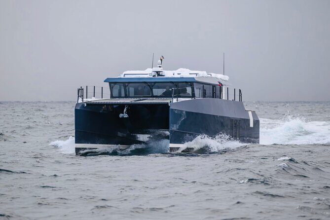 Luxury Whale Watching From Tromso - Small group and local guide - Analyzing the Price and Value