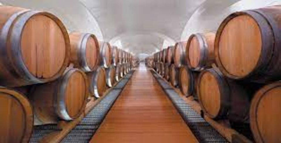 LUXURY WINE TASTING TOUR - TENUTA FEUDI DI SAN GREGORIO - Winery Guided Tour