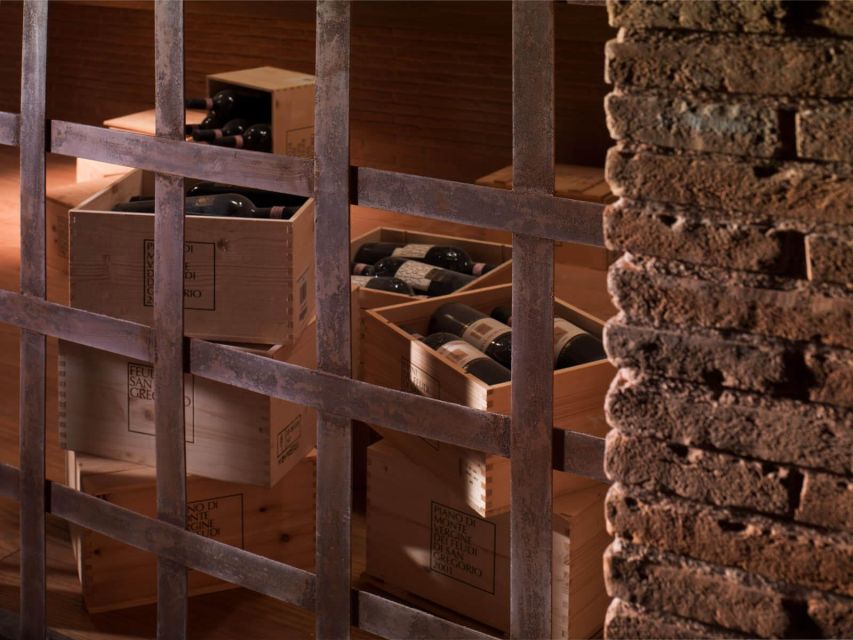 LUXURY WINE TASTING TOUR - TENUTA FEUDI DI SAN GREGORIO - Transfer and Transportation