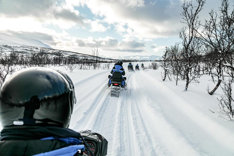 Lyngen: Snowmobile Safari with Lunch in seaside Restaurant - Why the Reviews Shine