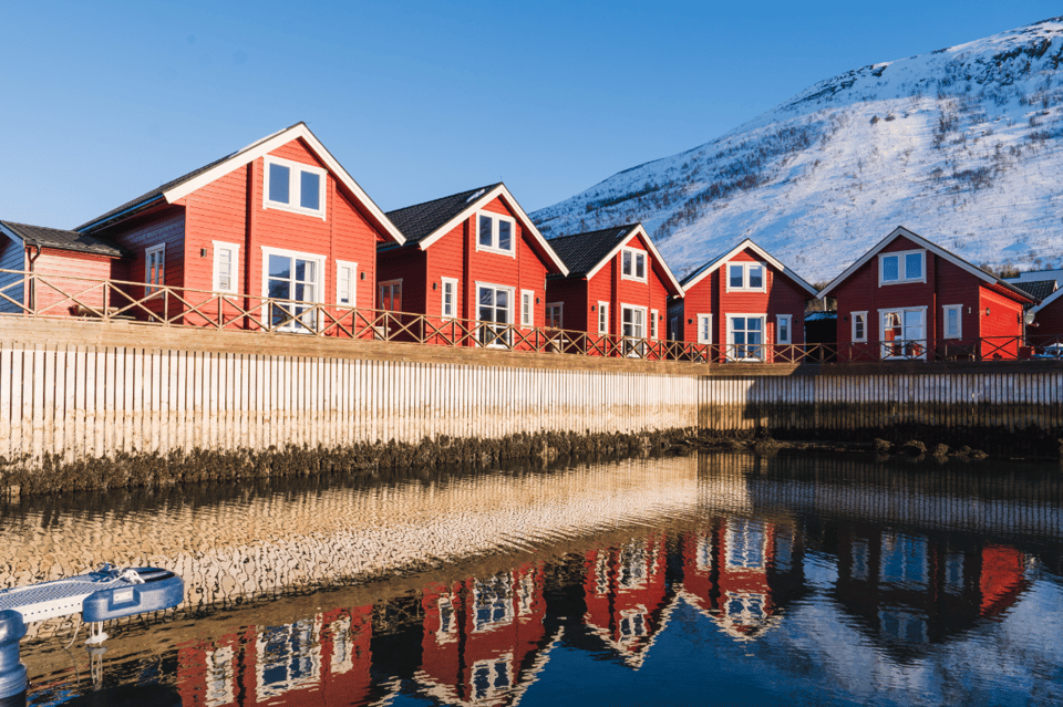 Lyngen: Snowmobile Safari with Lunch in seaside Restaurant - The Sum Up: Is It Worth It?