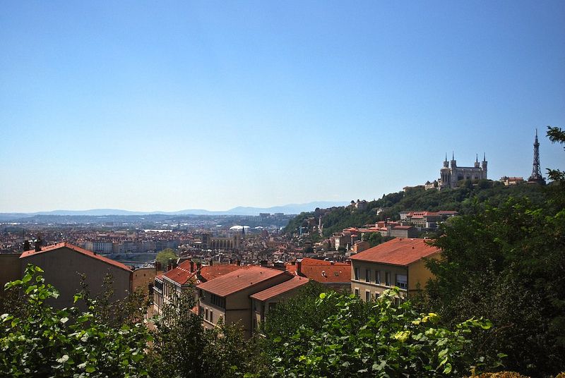 Lyon City Pass: Public Transport & More Than 40 Attractions - Included Attractions
