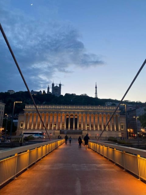 Lyon: Festival of Lights Tour - Customer Feedback