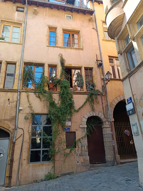 Lyon: Private Walking Tour of the City - Tailored Excursions for Various Traveler Types