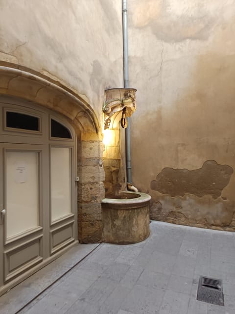 Lyon: Private Walking Tour of the City - Inclusions and Support Services