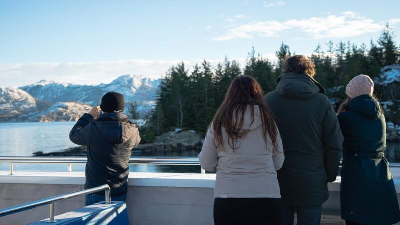 Lysefjorden cruise & Preikestolen guided hike - winter - Discover the Magic of Norway’s Winter Lysefjorden and Preikestolen
